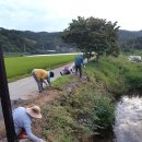 청양 1리 이미지