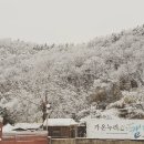 가온누리캠핑체험장 | ✨쏟아지는 은하수! 경주 별보기 좋은 캠핑장 BEST 4 추천⛺️