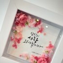 엘캘리플라워