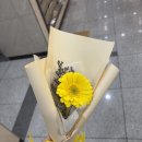 마곡꽃과나무 티스토리