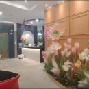 오즈스크린골프 이미지