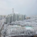 창동006 이미지