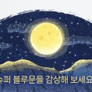 8월 마지막 날에 낭만느낄 수 있는 방법 알려드려요😉 이미지