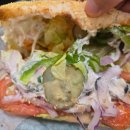 한스 강아지방 이미지