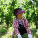 은식농장 이미지