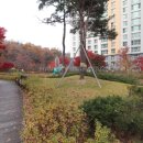 옥길센트리뷰 이미지