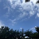[천안/숙소/아이랑]🌳 두 돌 아기와 함께한 여름 첫 숲캉스, 태학산 자연휴양림 후기 (+꿀팁🍃)