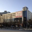 라페스타 동물병원 이미지