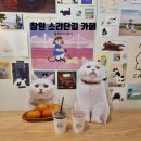창원 소리단길 카페 골목투어 후기 세로모 축제 일정 참여방법