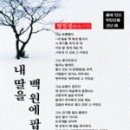 인터시네