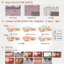 (주)유쾌한메디컬 네이버블로그