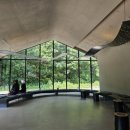 베툴라 자작나무숲 펜션 이미지