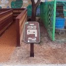 대구서평초등학교 이미지