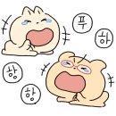 베리데이 이미지