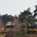 솔숲펜션 이미지