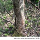 자연의 순환 이미지