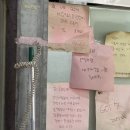 성진빌딩 | 올림픽공원 kspo돔 한국체대 주변 샤브샤브 맛집 '양진말 웅골' 후기!!!(알고보니 밥성진 맛집이였다..!)