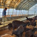 청파농장 이미지