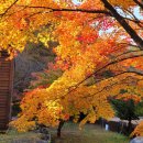 삼동회서산나래 - 광양시 성황도이로 66-16 | 삼동회서산나래