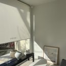 느티로 | [정자동 미용실] 헤어서보 - 어센틱 클리닉 염색 후기