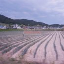 임자펜션민박