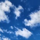 창진산장휴게소 이미지