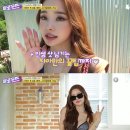 프리지아 이미지