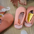 살구텍 이미지