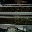 대왕포차 이미지