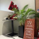 하루에 카페 | 광주 근교 아기랑 가볼만한 곳 ‘담양 카페 더 하루’ (수족관 카페) 솔직 후기 🐠✨