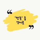 플럼블라썸(Plum Blossom) 이미지