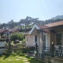 도산보건진료소 네이버블로그