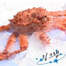 주식회사 지인프라임