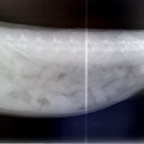 장우진동물병원 이미지