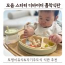 곡성-250 | 돌아기 자기주도 시작 | 모윰 스타터 디바이더 흡착식판 사용후기