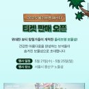 영에서시작