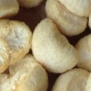 춘천시농업기술센터 이미지