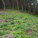 동업 농장 이미지