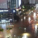 신도2교차로 1 이미지