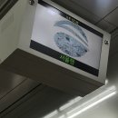 댕그루루 이미지