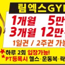 팀엑스짐 이미지