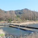 강변공원펜션2 이미지