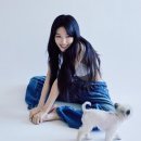 청하 이미지