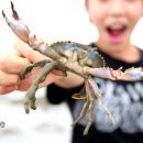 선감어촌체험관광마을 네이버블로그