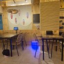 조개본능 이미지