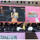 2023 청도 펫티켓 문화콘서트 | 청도 행사 촬영 펫티켓 문화콘서트 현장