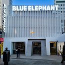 던 에드워드 페인트 안양점 | 해운대 플래그십 선글라스·안경 매장 스페셜 페인트 - 스트라이프 줄무늬 미장 작업 후기