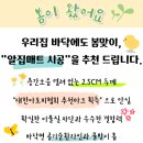 센스쟁이 | 아파트 층간소음매트 NO.1 알집매트 시공 후기 / 알집매트 전라도 쇼룸매장 운영 안내! / 거실, 복도...