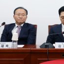 與, 임명직 당직자 일괄 사퇴 검토, 미래비전특위’도 논의 이미지