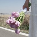 아미가플라워 - 중구 송학로 11-1 | 아미가플라워